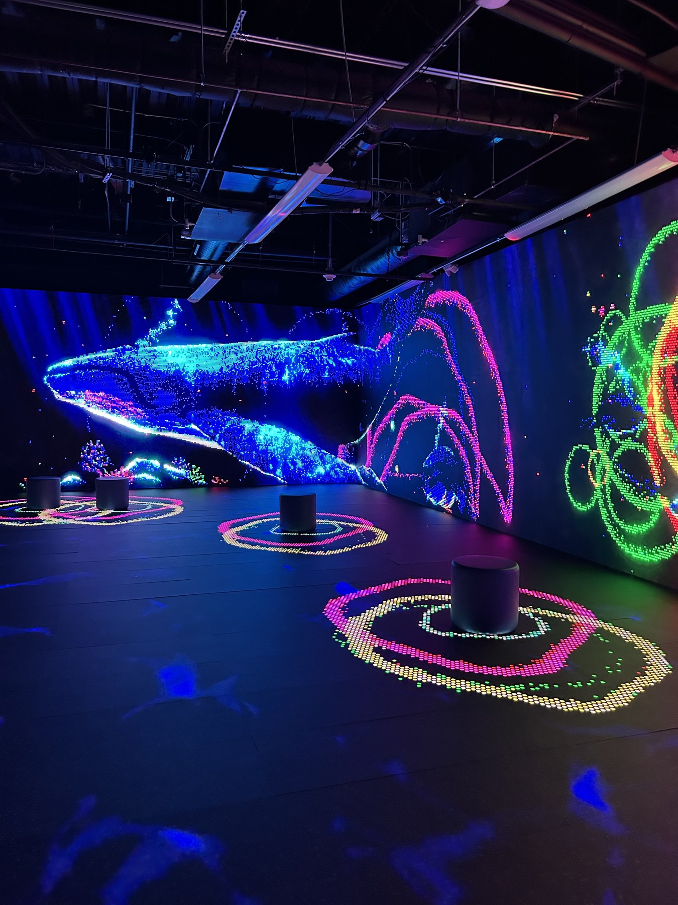 Illuminated whale installation at Lite-Brite: Worlds of Wonder
